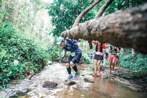 BIB: 
                            <button type="button" onclick="openModal(25372834)" class="btn btn-primary btn-sm float-right btn-popup" data-toggle="modal" data-target=".modal-high-quality">
                        <i class="fas fa-shopping-cart"></i> Add to Cart
                    </button>
                                            <button type="button" onclick="isThisMe(25372834, true)" class="btn btn-success btn-sm float-right btn-popup btn-isme hidden" data-toggle="tooltip" data-placement="bottom" title="นี่คือรูปของคุณใช่ไหม คลิกที่นี่เพื่อเอาเข้าอัลบั้ม">
                        <i class="fas fa-plus"></i> Add to album
                    </button>
                    <button type="button" onclick="isThisMe(25372834, false)" class="btn btn-warning btn-sm float-right btn-popup btn-isnotme hidden">
                        <i class="fas fa-ban"></i> Remove from album
                    </button>